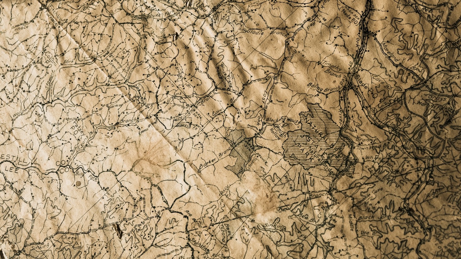 The Future of Orienteering Competitions: Data and Insights